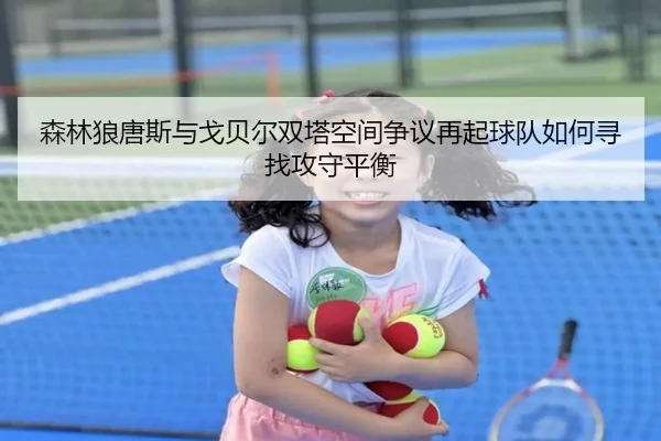 森林狼唐斯与戈贝尔双塔空间争议再起球队如何寻找攻守平衡