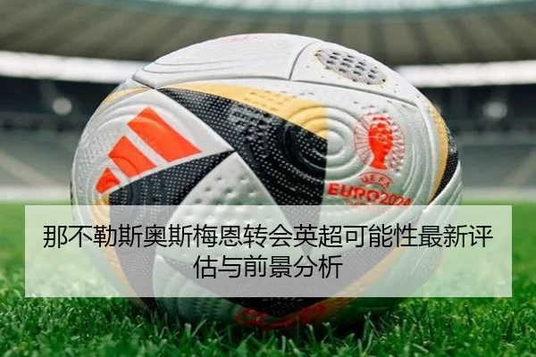 那不勒斯奥斯梅恩转会英超可能性最新评估与前景分析